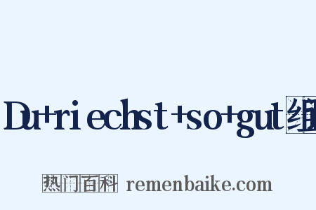 Du+riechst+so+gut组词是什么意思的图片